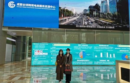 跨境电子商务专业是个坑