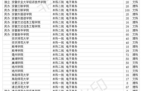 武汉电子商务专业分数线