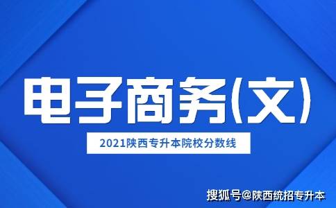 电子商务类升本专业