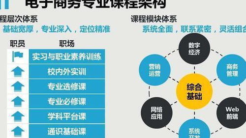 电子商务的专业发展前景