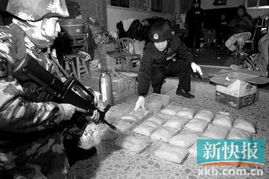 大厂程序员被裁后制毒贩毒获刑，从技术精英到法律制裁的深渊